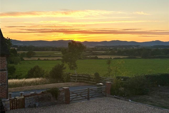 Sunset View