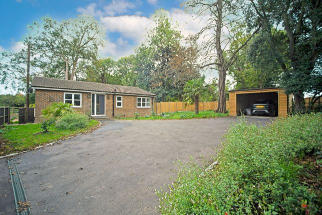Thumbnail Bungalow for sale in London Road, Leybourne