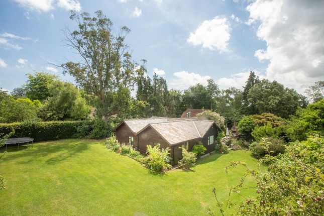 Thumbnail Detached bungalow for sale in Rushlake Green, Heathfield, East Sussex