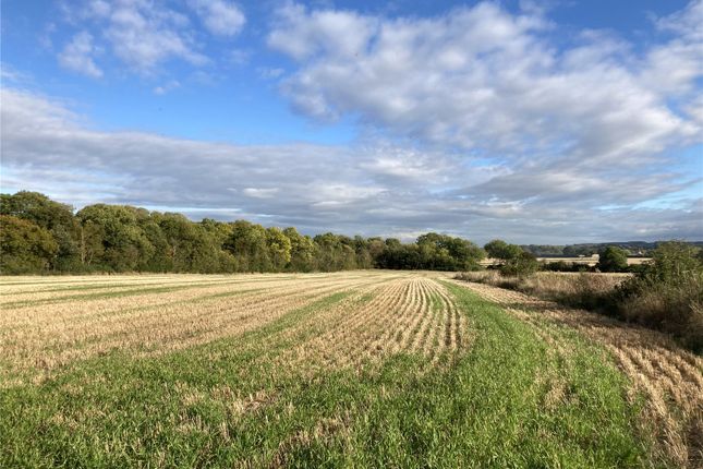 Thumbnail Land for sale in Land At Silsoe, Silsoe, Bedfordshire