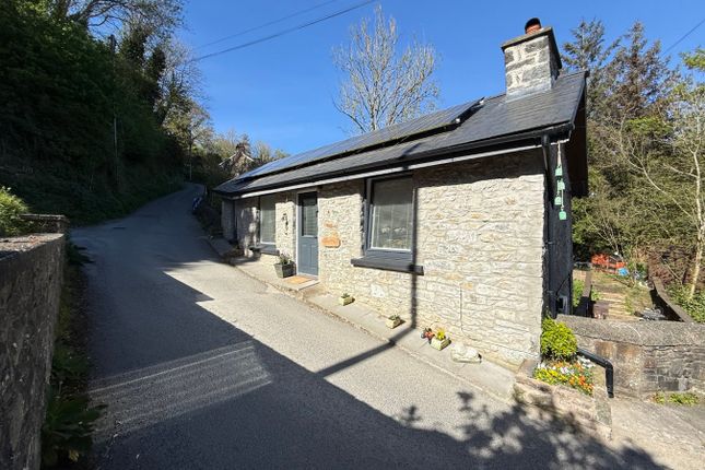 Panteg, Llanarth, Ceredigion photo 2