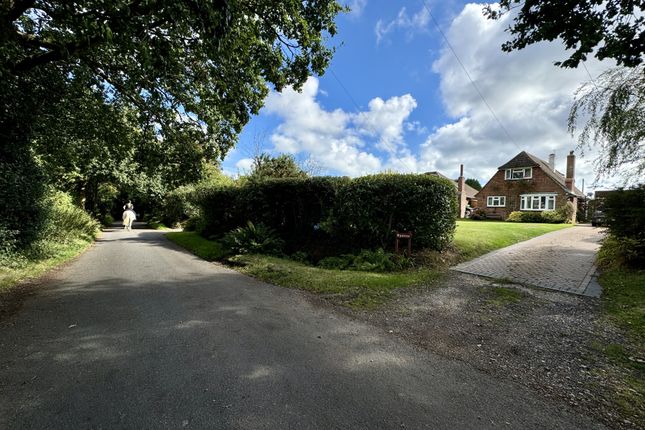 Thumbnail Bungalow for sale in Peelings Lane, Westham, Pevensey, East Sussex