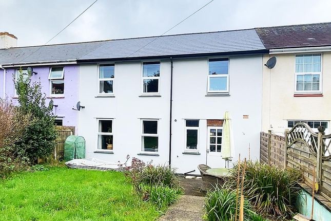Thumbnail Terraced house to rent in Lime Tree Walk, Newton Abbot