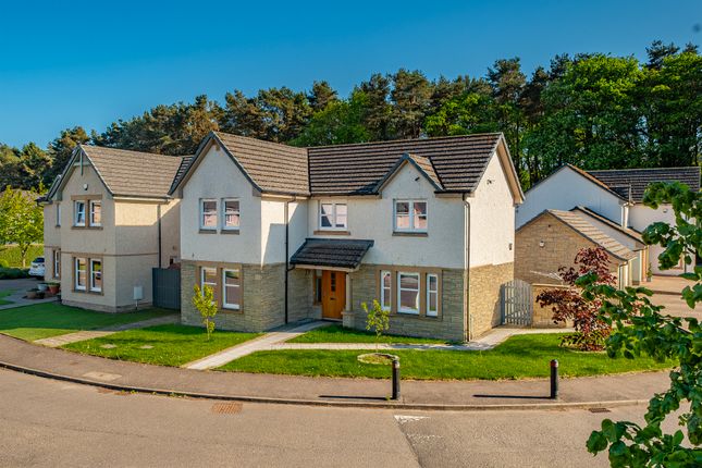 Thumbnail Detached house for sale in Claudius Crescent, Cambuslang, Glasgow