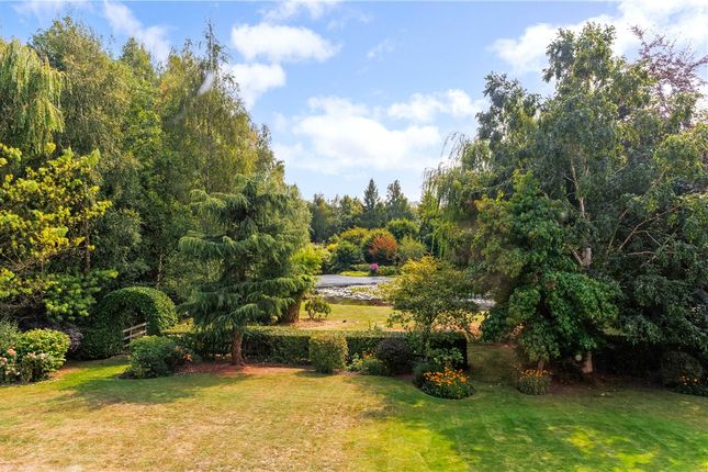 Garden And View