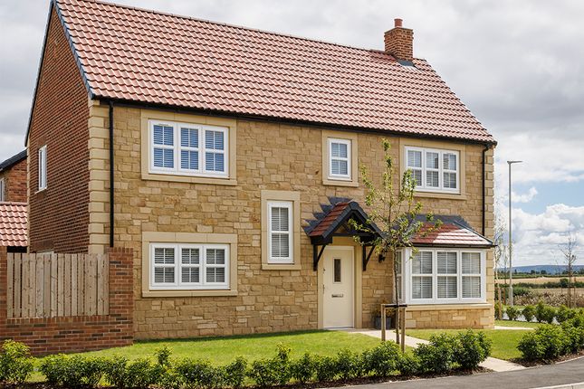 Thumbnail Detached house for sale in "Wilson" at Englemann Way, Sunderland