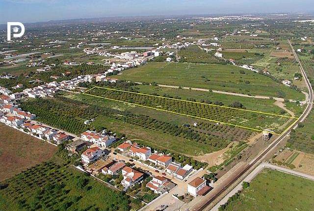 Thumbnail Land for sale in Tavira, Algarve, Portugal