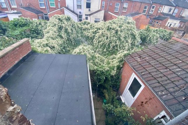 Swan Lane, Coventry photo 3