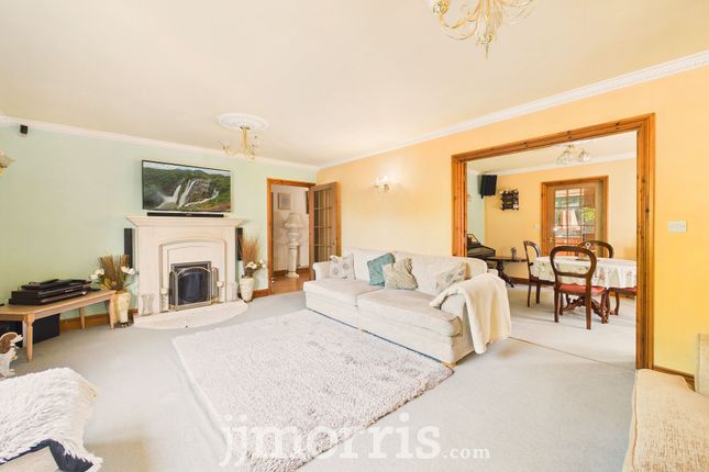 Beechwood Lodge, Court Road, Milford Haven photo 2