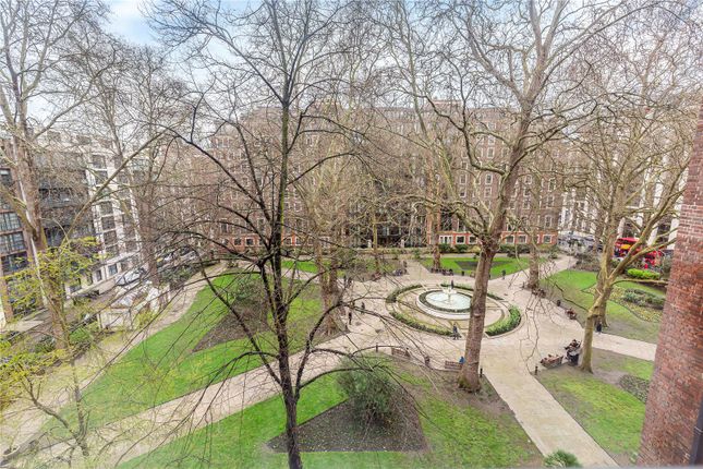 509, Westminster Green, Westminster photo 4