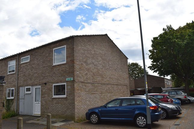 Thumbnail Terraced house to rent in Willonholt, Ravensthorpe, Peterborough