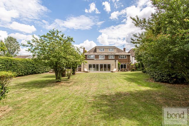 Houses for Sale in Chelmsford - Chelmsford Houses to Buy - Primelocation