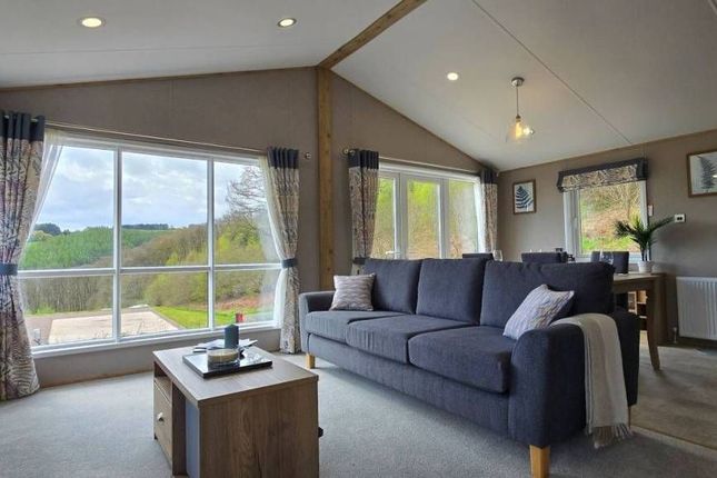 52, Red Kite Touring and Lodge Park, Llanidloes photo 3