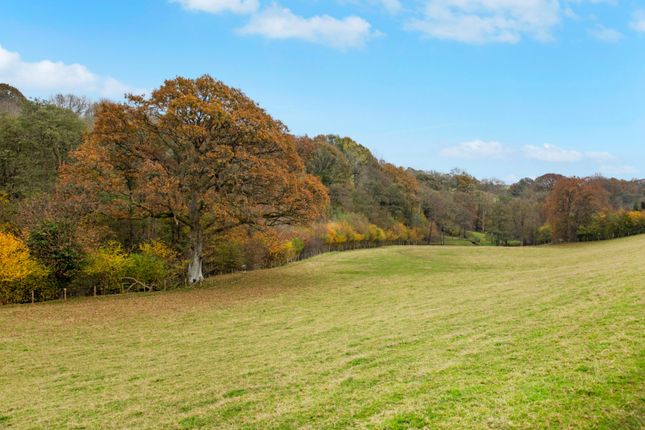 Land At Firs Farm