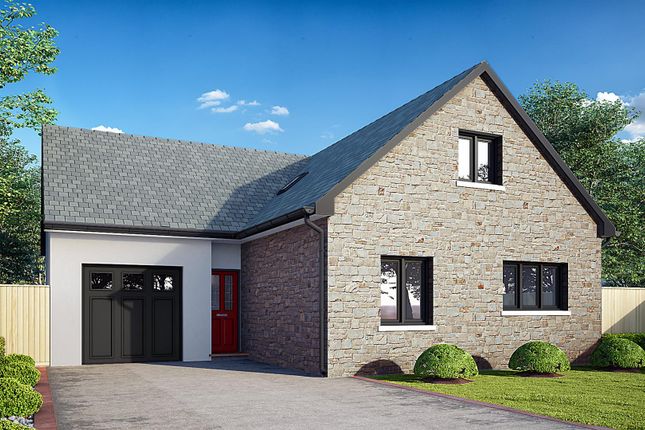 Thumbnail Property for sale in Pludds Meadow, Laugharne, Carmarthen