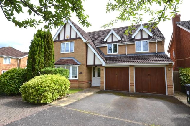 Thumbnail Detached house for sale in The Thatchers, Bishops Stortford
