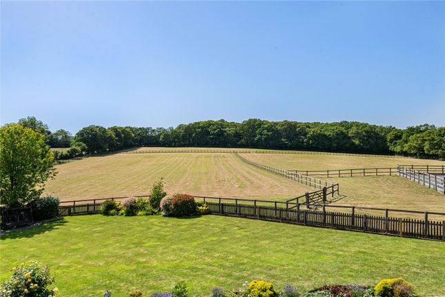 Clover Ashes,, Newpound, Billingshurst photo 4