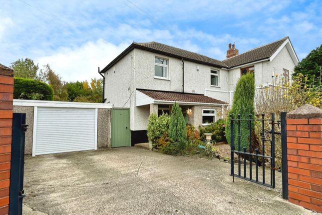 User_Edited_Photo-Bc98077E_User-Edited-2Bb96597-22