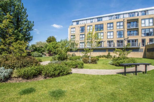 Flat to rent in Smeaton Court, Hertford