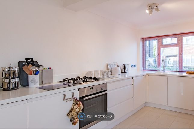 Semi-detached house to rent in Whitehall Bridge Road, Canterbury