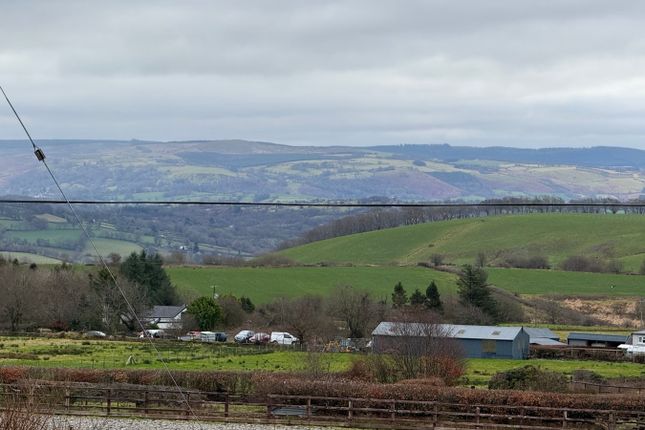 Yr Hen Feudy, Penuwch, Tregaron photo 4