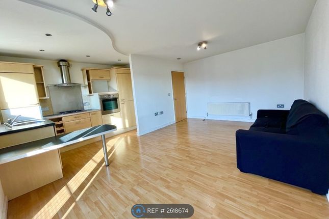 Kitchen / Living Area