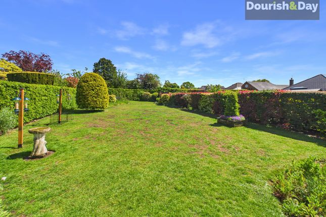 6 Oakridge Close, Stafford photo 4