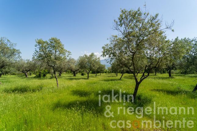 Country house for sale in Italy, Tuscany, Florence, Figline Valdarno