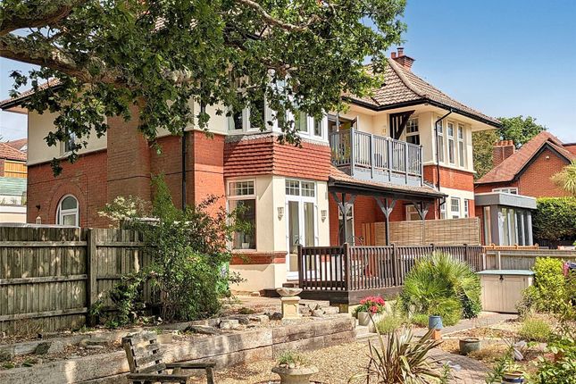 Back Garden