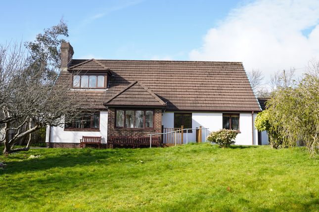 Detached house for sale in Primrose Hill, Llanbadarn Fawr, Aberystwyth