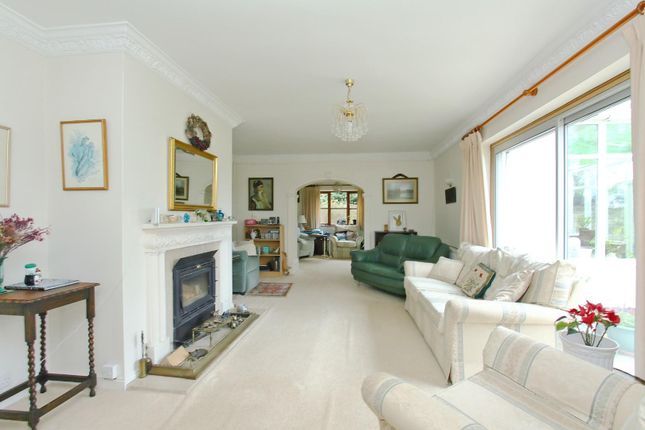 Blandings, Woodhouse, Andover photo 2