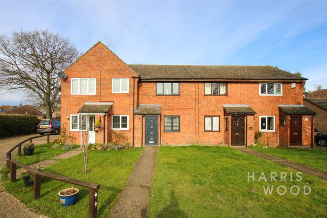 Thumbnail Terraced house to rent in Sioux Close, Highwoods, Colchester, Essex