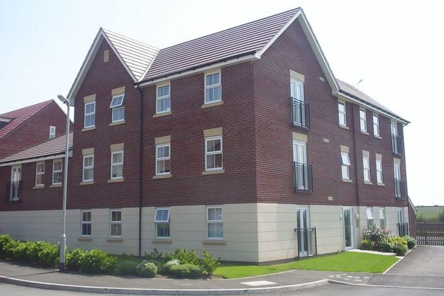 1 Bedroom Flats To Let In Northampton Primelocation