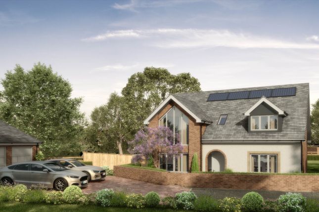 Front CGI