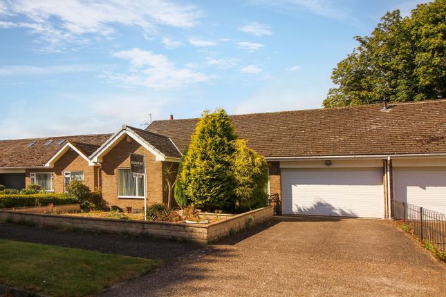 Thumbnail Detached bungalow for sale in Orchard Close, Ulgham, Morpeth