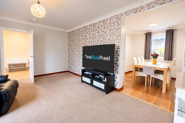 20 Langlees Street, Falkirk photo 4