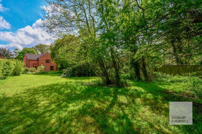 Thumbnail Detached house for sale in Willows, Union Road, Smallburgh, Norfolk