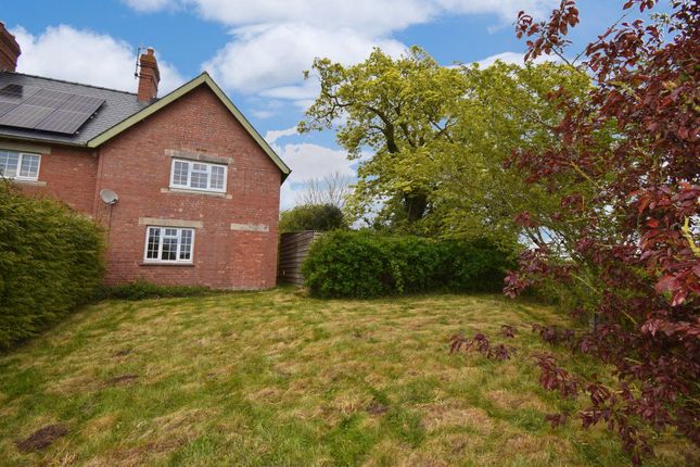 Semi-detached house to rent in Bridge Sollars, Hereford