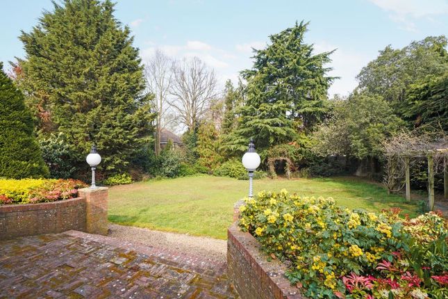 Detached house to rent in Green Lane, Cobham, Surrey