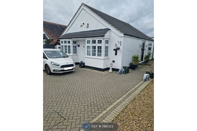 Thumbnail Bungalow to rent in Bower Way, Slough