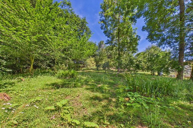 16 Hookway, Crediton photo 4