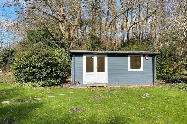 Detached house to rent in Hatch Lane, Ockham, Surrey