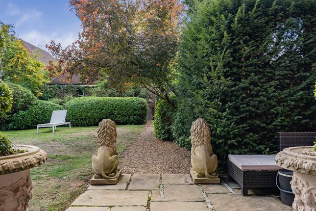 Cobbett Hill Road, Guildford photo 4