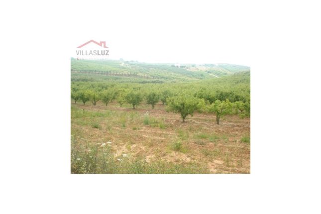 Land for sale in 2510 Óbidos Municipality, Portugal