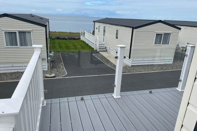 Delta Thornbury, Newton Stewart photo 4