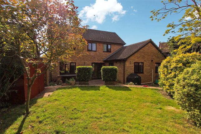 Thumbnail Detached house for sale in Newton Road, Sawtry, Huntingdon