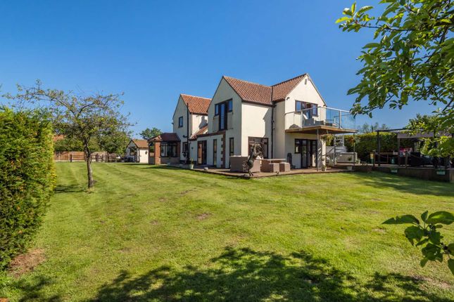 Thumbnail Detached house for sale in Marsh Road, Limpenhoe