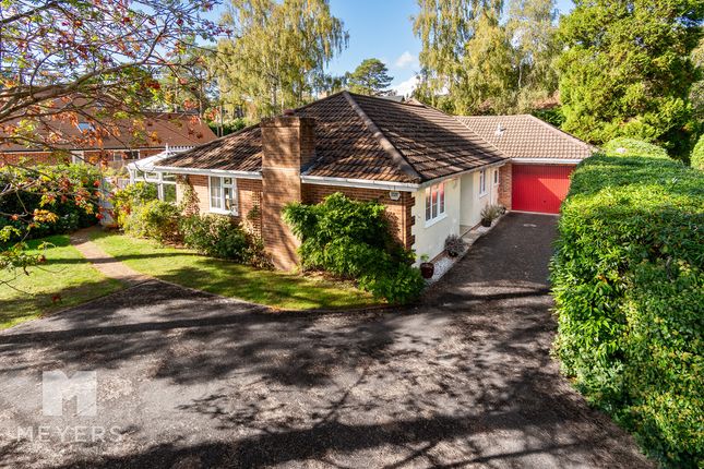 4-bed bungalow on 74a, Sandy Lane, Ringwood, £750,000
