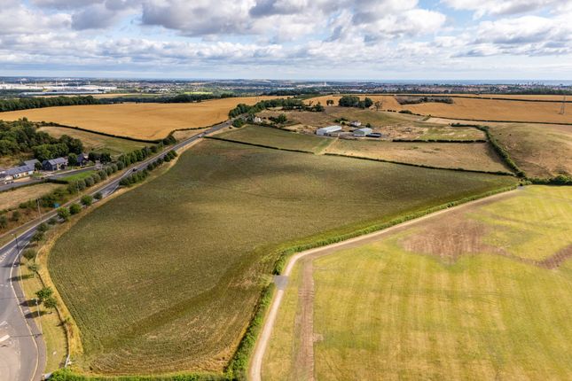 Flinton Hill Farm, Chester Road, Tyne and Wear photo 5