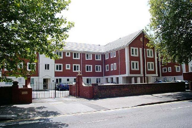 Main Image (Main)